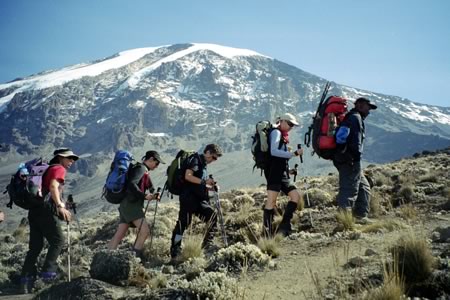 Kilimanjaro