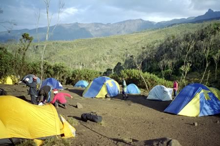 Kilimanjaro